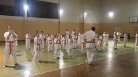 Egzamin Karate Kyokushin w Ostrowie Lubelskim