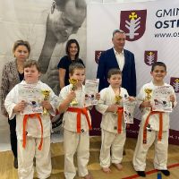 Ogólnopolski Turniej Karate Kyokushin o Puchar Burmistrza Ostrowa Lubelskiego