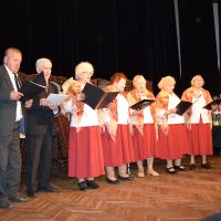 XIII Koncert Pieśni Maryjnej w Ostrowie Lubelskim